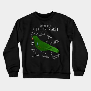 Male Eclectus Anatomy Crewneck Sweatshirt